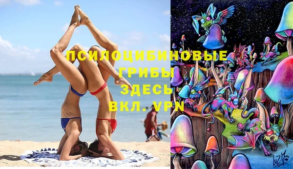 каннабис Арсеньев