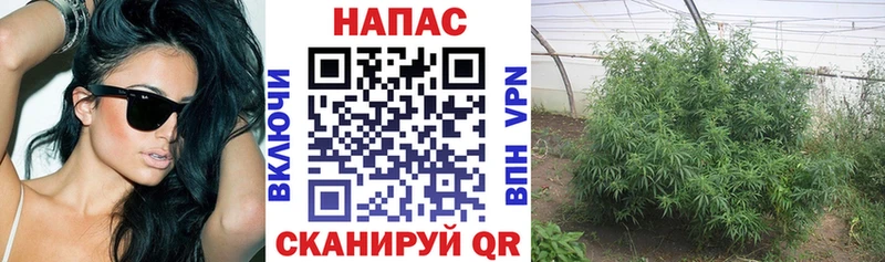 Шишки марихуана тримм  что такое   Артёмовский 